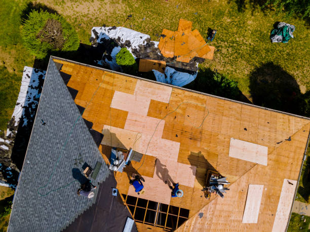 Roof Waterproofing Services in Westwood, CA